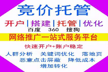 SEM广告投放中的数据监控与调整策略——以某品牌营销案例为例